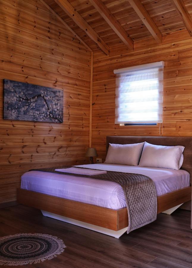 Bujtina Siar Pogradec Exterior foto