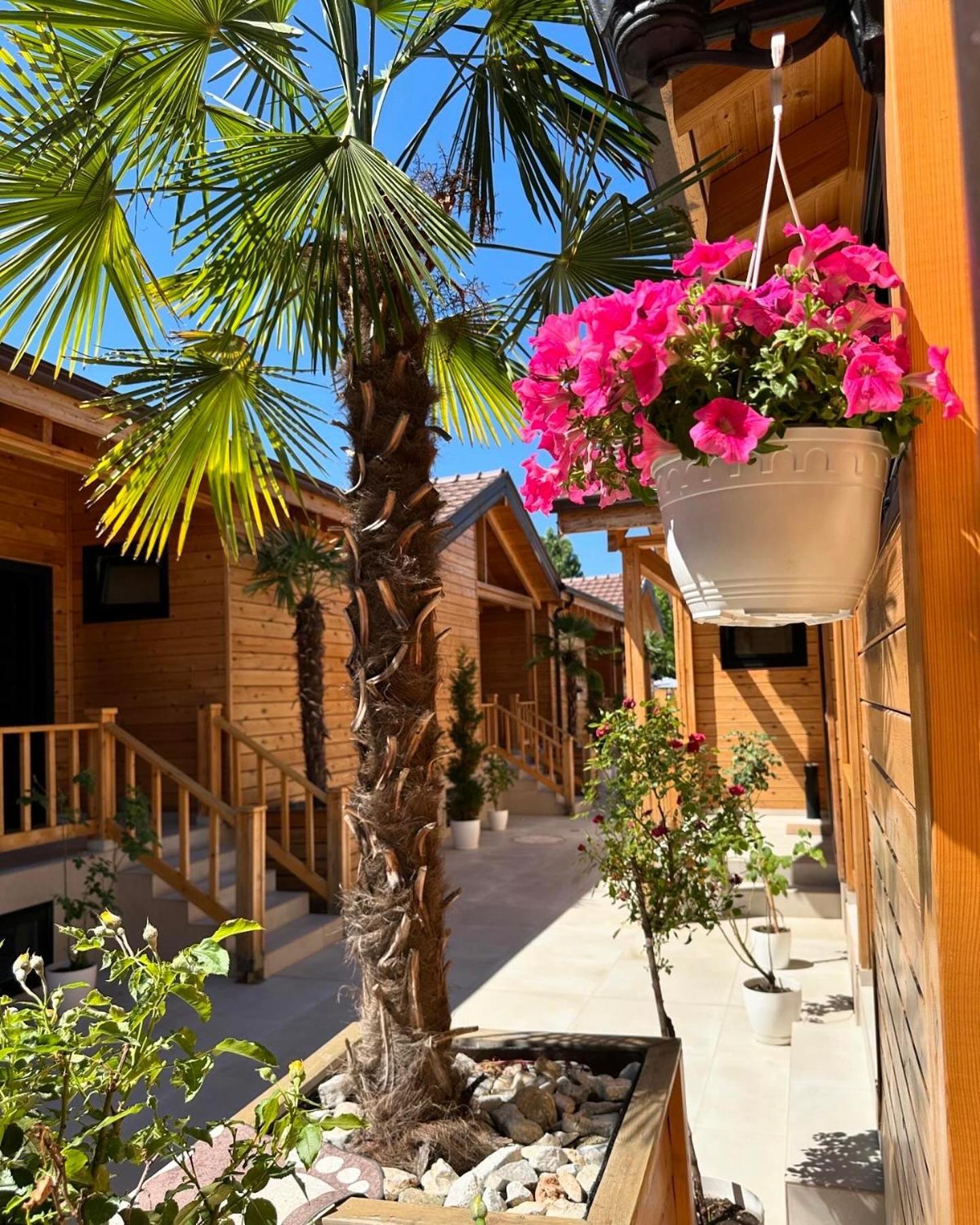 Bujtina Siar Pogradec Exterior foto