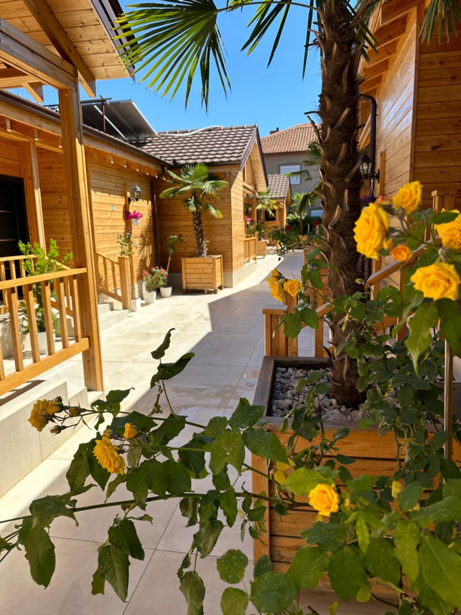 Bujtina Siar Pogradec Exterior foto
